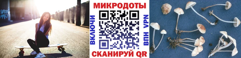 сколько стоит  Киржач  нарко площадка клад  Галлюциногенные грибы Psilocybine cubensis 